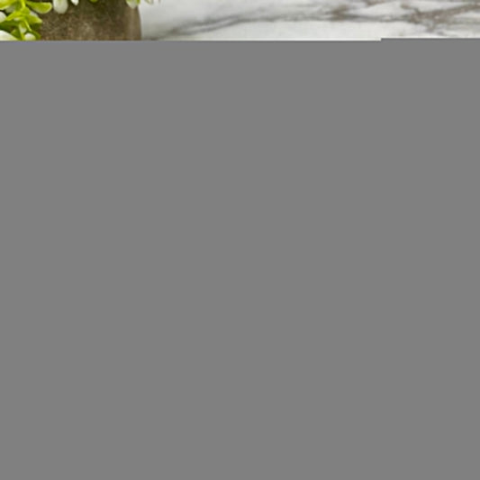 Pen - Capy, Don’t Worry Be Capy